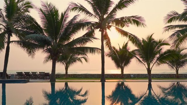 Palm Trees Reflecting in Luxury Resort Swimming Pool, Sunset Seascape Background
