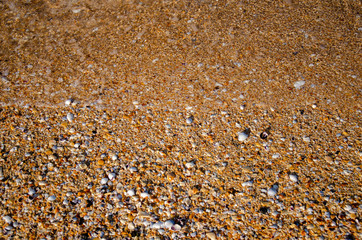 Golden sand on shore of beach in devonport auckland