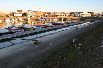 Fototapeta na wymiar port of La Teste-de-Buch in france