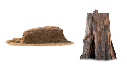 Pile of rice straw that has been harvested and large dry dead stump that hew. Isolated on white background.