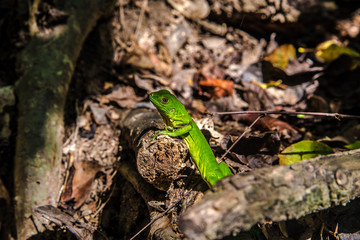 Tayrona National Park