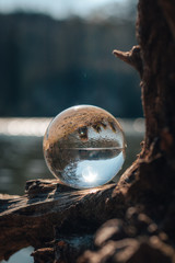 Obraz premium See the world throw the lens ball