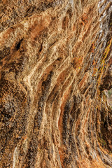 Weeping Rock at Zion National Park