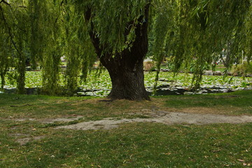 Queenstown Gardens in Otago on South Island of New Zealand
