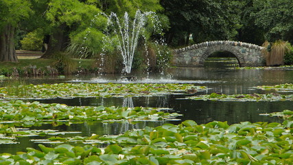 Fototapeta na wymiar Queenstown Gardens in Otago on South Island of New Zealand 