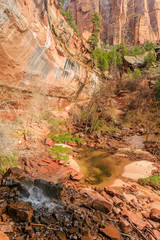 Water Fall at Zion National Park