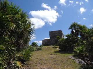 Fototapeta na wymiar Exotic plants and temple of god of winds at TULUM city at Mexico on grassy field