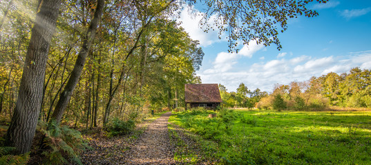 Old stable next to a meadow and a forest path on the edge of a forest in Belgium.