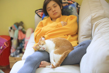 lazy sunday, lazy cat lying on lazy woman in the lazy couch