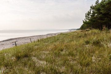 Coast on Rügen, Germany