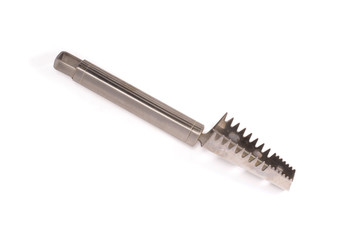 cleaning fish scales isolated