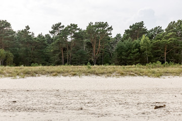Coast on Rügen, Germany
