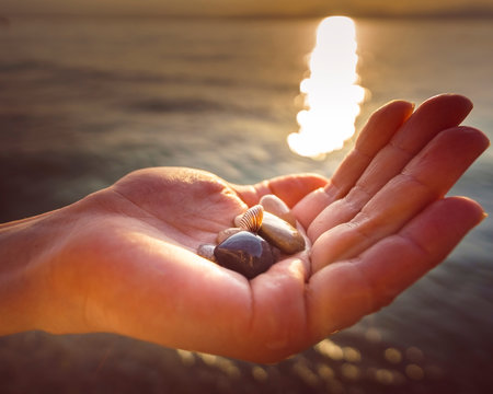 Hand h&auml;lt Steine und Muscheln &uuml;ber Wasser vor Sonnenuntergang