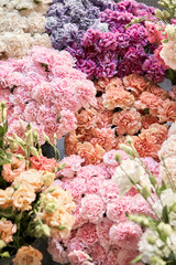 Fototapeta premium Floral carpet or Wallpaper. Background of mix of flowers. Beautiful flower for catalog or online store. Floral shop and delivery concept. Top view. Copy space