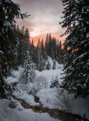 Winterlandschaft mit schneebedeckten Bäumen, Abendrot im Hintergrund