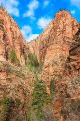 Fototapeta premium Rock Formations at Zion National Park
