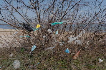 Face masks and plastic debris on branches of trees. Coronavirus (COVID-19) is contributing to...
