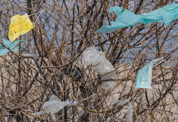 Face masks and plastic debris on branches of trees. Coronavirus (COVID-19) is contributing to...
