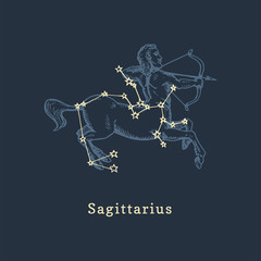Zodiac constellation of Sagittarius in engraving style. Vector retro graphic illustration of astrological sign Centaur. © vladayoung