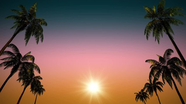 
Branch with palm tree leaves on a background of sea and clouds. 3d animation
