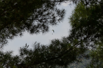 Obraz na płótnie Canvas Man flying with parachute in the sky