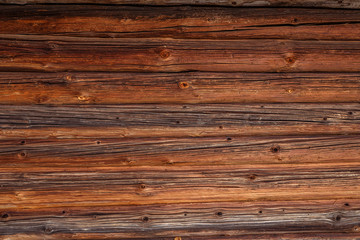 Fototapeta premium wood texture, background, log wall