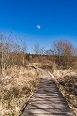 Brackvenn Weg zum Mond