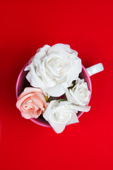 White roses in a pink cup on a red background