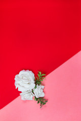 White roses on a pink and red background