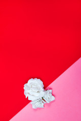 White roses on a pink and red background