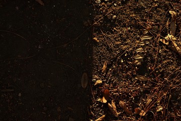 THE PICTURE SIGNIFIES A DARKEN SIDE WITHOUT SUNLIGHT AND A BRIGHTER SIDE WITH SUNLIGHT THIS IMPLIES...