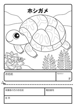 ホシガメ　ぬりえ　応募用紙　coloring picture Geochelone elegans Character illustration