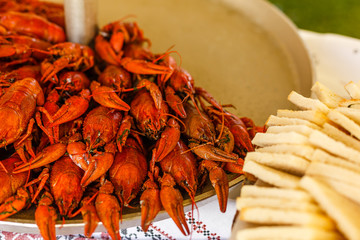 Tasty boiled crayfishes with fennel on table on sackcloth background