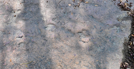Dinosaur Footprints at Phu Wiang in Wiang Kao District, Khon Kaen, Thailand