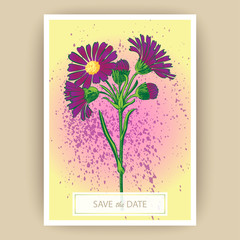 Hand drawn close-up Chrysanthemum flower artistic vector illustration. Botanical wedding ornament. Petals painted in purple. Floral trendy pattern poster. Decorative greeting card invitation design bg