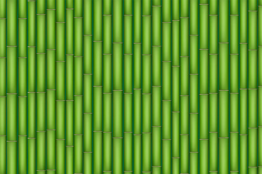 Green Bamboo texture. Bamboo plants tightly lined up. Vector Illustration
