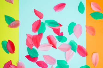 Colored feathers on colorful background