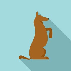 Dog training icon. Flat illustration of dog training vector icon for web design