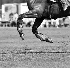 Fotobehang Paardensport Polo player chasing the ball. Horizontal, view from the back, black and white. Close-up details of horse legs.  © arthorse