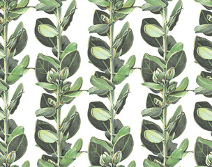 Seamless pattern with eucalyptus branches