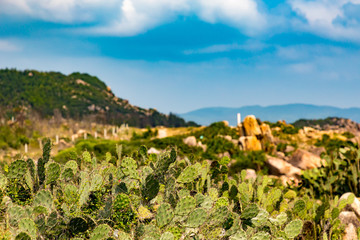 Fototapeta na wymiar View of the mountains and walley from the mountain road in Vietnam