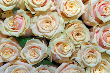 Background of bouquets of flowers. Roses. Design. Close up.
