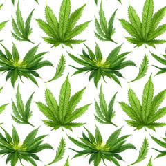 Watercolor cannabis seamless pattern. Hemp hand drawn pattern. Cannabis oil background on white