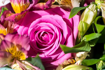 background of beautiful pink rose close-up in a bouquet of flowers