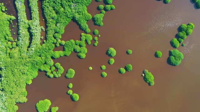 Mangrove, La Tovara National Park, Ramsar Site, Wetlands of International Importance, San Blas Town, Matanchen Bay, Pacific Ocean, Riviera Nayarit, Nayarit state, Mexico, Central America, America