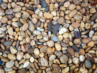 pebble stone background. stone garden outdoor nature