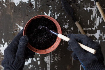 Top view of woman hands in gloves preparing pot with soil for planting on the wooden background