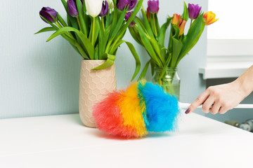 Housewife wipes dust with a dust brush during spring cleaning at home. Household chores and housekeeping