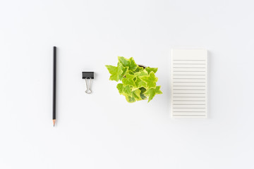 Abstract office desktop concept with notebook, pencil and flower isolated on white background. Top view