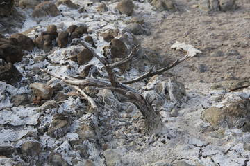 Drought, salt lake in Vermont, Western Cape